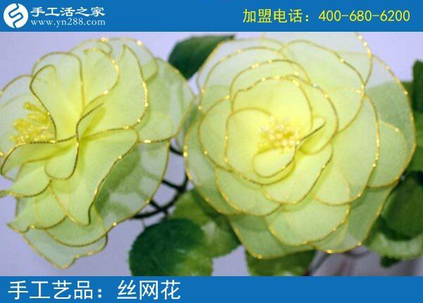 你見過這么漂亮的絲網(wǎng)花嗎？純手工制作廢物利用 花的世界花的海洋！(圖4)