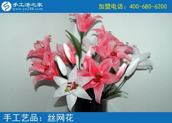 你見過這么漂亮的絲網(wǎng)花嗎？純手工制作廢物利用 花的世界花的海洋！(圖3)