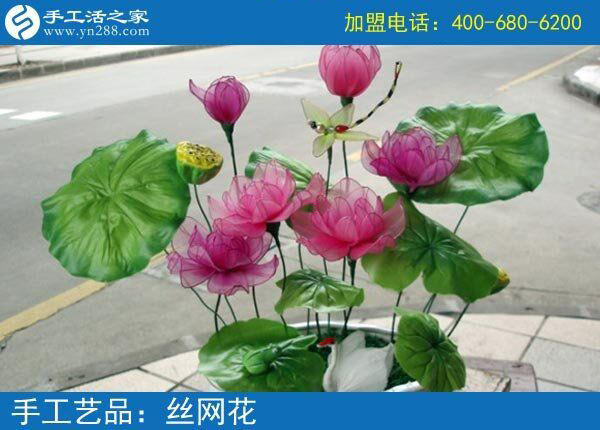 你見過這么漂亮的絲網(wǎng)花嗎？純手工制作廢物利用 花的世界花的海洋！(圖5)