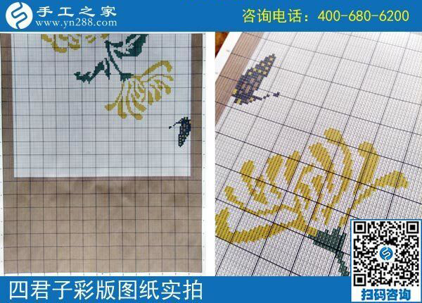 手工之家雅薇麗珠繡圖紙（梅蘭竹菊）新款，彩色升級版！(圖4)