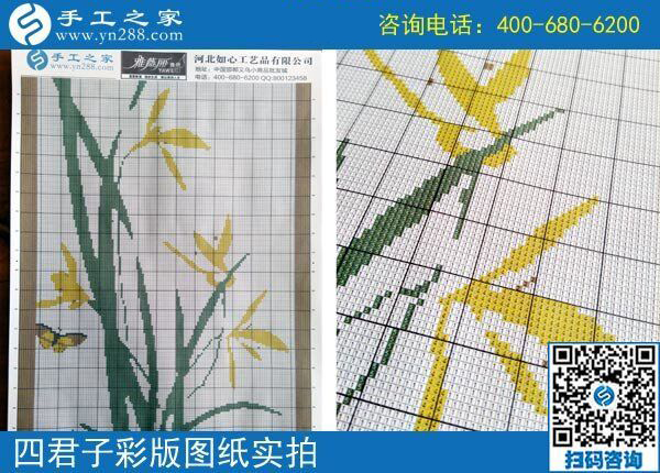 手工之家雅薇麗珠繡圖紙（梅蘭竹菊）新款，彩色升級版！(圖5)