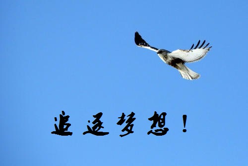 追夢(mèng)路上，付出和堅(jiān)守就是成功的秘訣-------手工之家新疆阿克蘇地區(qū)某加工會(huì)員成長(zhǎng)記(圖1)
