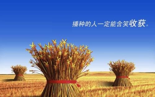 （干貨）分享：判斷在家做的手工活加工項(xiàng)目的正規(guī)性，這幾個(gè)角度要注意(圖3)