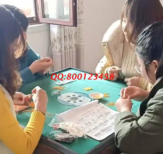 3月9日，想接正規(guī)廠家的手工活，拿回家做的手工活，這里的珠繡寄發(fā)材料手工活值得擁有，手工之家接待考察加工客戶剪影