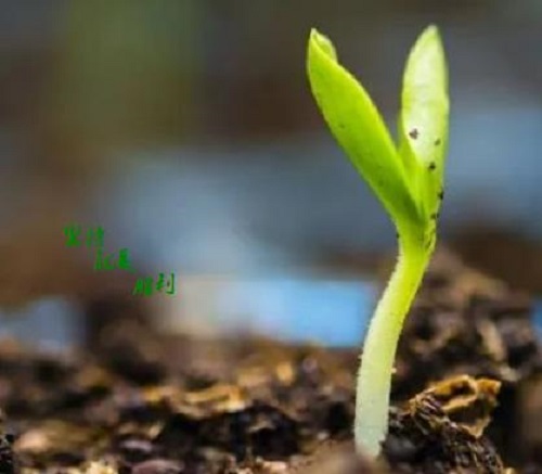 這五點(diǎn)銷售心理做好了，微商也就會越來越成功(圖1)