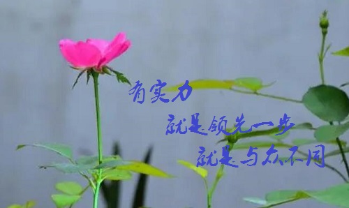 手工活接單正規(guī)平臺(tái)，有實(shí)力的手工廠家是啥樣的？