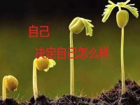 能在家做的手工副業(yè)，你是否能做純手工項(xiàng)目掙錢(qián)？