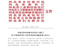 爭(zhēng)做鄉(xiāng)村工匠，我們一起用手工助力鄉(xiāng)村振興