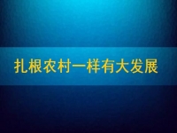 在家能做的兼職正規(guī)可靠，扎根農(nóng)村一樣有大發(fā)展
