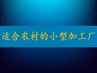 適合農(nóng)村的小型加工廠，月入2萬不算多，你有時(shí)間也能做