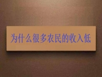 為什么很多農(nóng)民的收入低？這2點做好了，在家兼職手工活收入是杠杠滴