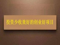 投資不到3萬，1個(gè)人就能干，利潤(rùn)很高，每天收入能上千，我能做嗎