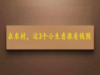 都說在農(nóng)村不好賺錢，可以試試這幾個(gè)小生意，很有“錢”圖