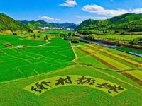普通人應該如何抓住鄉(xiāng)村振興創(chuàng)業(yè)風口？