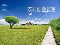 新型農(nóng)村創(chuàng)業(yè)小項(xiàng)目，會(huì)拍短視頻就能賺錢(qián)，兼職副業(yè)都可以做