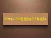 2024年，在村里創(chuàng)業(yè)還有什么好機(jī)會(huì)？