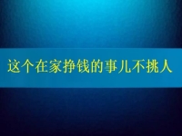 這個(gè)在家掙錢(qián)的事兒不挑人，2024要掙錢(qián)，你我就靠它了