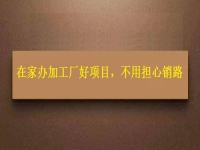 在家辦加工廠好項(xiàng)目，農(nóng)村創(chuàng)業(yè)開(kāi)飾品加工廠，大家不用擔(dān)心產(chǎn)品銷路