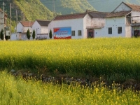 適合農(nóng)村個(gè)人在家創(chuàng)業(yè)的項(xiàng)目，好做的純手工有兩份收入