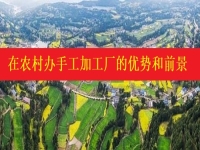 發(fā)掘農(nóng)村優(yōu)勢(shì)，讓返鄉(xiāng)創(chuàng)業(yè)開手工加工廠成為更多人掙錢增收的好辦法