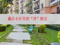在城里創(chuàng)業(yè)辦純手工加工廠，就是找到了藏在小區(qū)里的“凈”財(cái)富