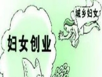 農(nóng)村創(chuàng)業(yè)、城市創(chuàng)業(yè)，家庭主婦等女士做手工傳承官都是自帶優(yōu)勢(shì)