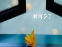 開學(xué)季，做手工傳承官掙錢的家庭婦女、寶媽等女士更多了，因?yàn)橛袝r間、能掙錢