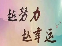 新的一年，在做手工掙錢的道路上，我們依然選擇努力，為了更好的生活和心中的夢(mèng)