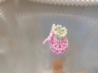 9月3日，手工兼職創(chuàng)業(yè)在家做是真的，微創(chuàng)業(yè)做手工工作室，在家做的好手工，手工之家有實力，合作起來踏實放心，圖為串珠米珠繡純手工產(chǎn)品剪影