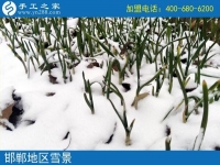 雪天串珠繡，足不出戶在家賺錢！邯鄲魏縣賈女士的手工活兼職記
