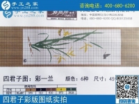 手工之家雅薇麗珠繡圖紙展示：一學(xué)就會(huì)，一看就懂的手工活！