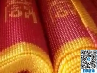 做手工活加工事業(yè)，沒有任何門檻，男士也很青睞