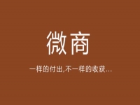 給你一點啟發(fā)，淺談微商的價值