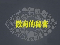做微商怎樣才能賺到錢，行業(yè)大佬說建設(shè)銷售體系很重要