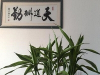 （干貨）分享：判斷在家做的手工活加工項(xiàng)目的正規(guī)性，這幾個(gè)角度要注意