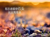 做微商賺不到錢？你是不是犯了這個錯誤