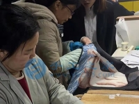 2月26日，在家做手工活靠譜，創(chuàng)意珠繡串珠手工活外發(fā)加工項(xiàng)目就來十多年的手工企業(yè)，圖為手工之家倉(cāng)儲(chǔ)部日常工作剪影